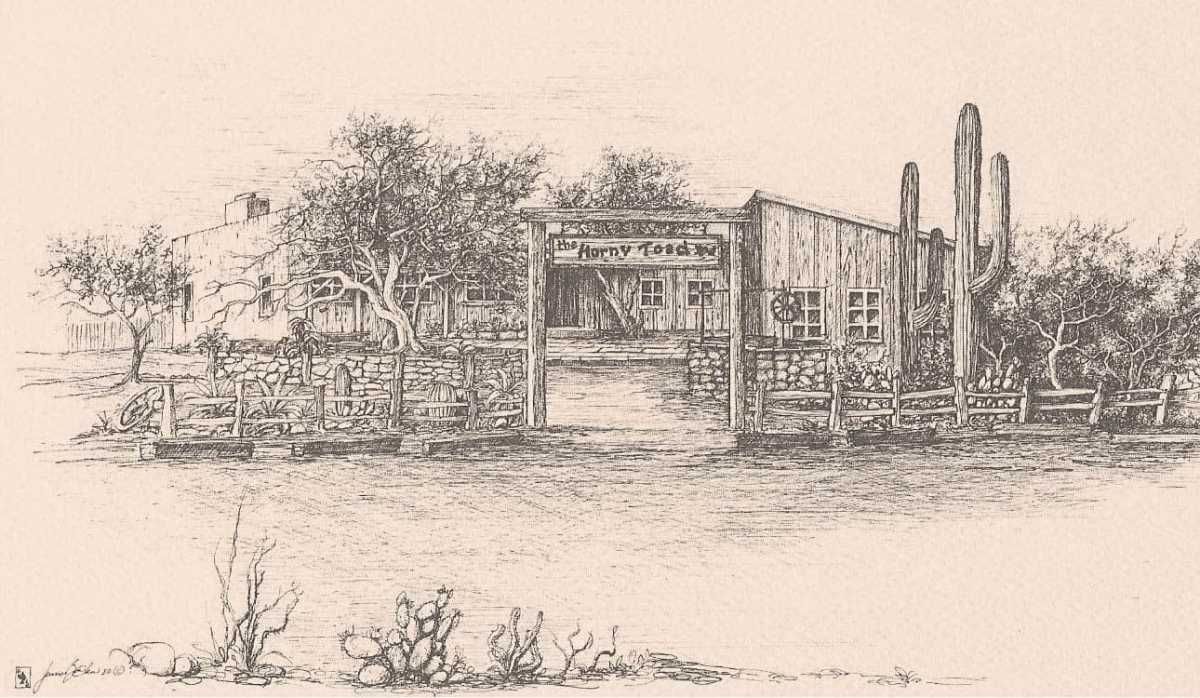 59889972_657303771375063_394532650678747136_n Horny Toad