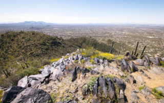 Black Mountain Summit Preserve
