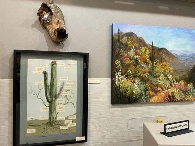 Indian pottery at cave creek museum