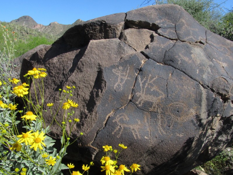 Arch_Expo_3.21.14 Spur Cross Ranch Conservation Area