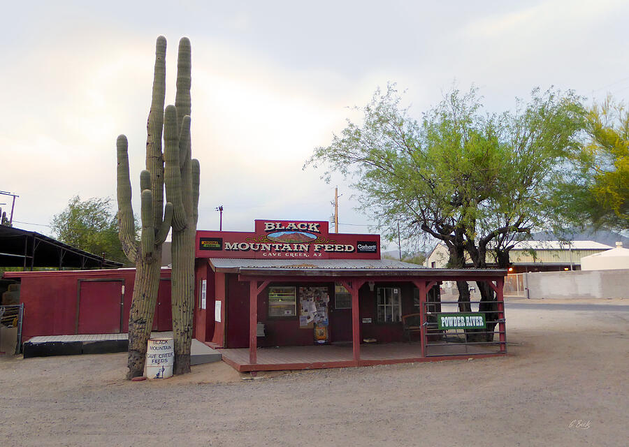 black-mountain-feed-gordon-beck black mountain feed