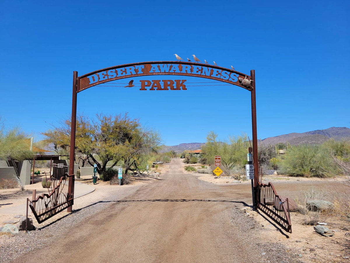 desert-awareness-park Desert Awarness Park